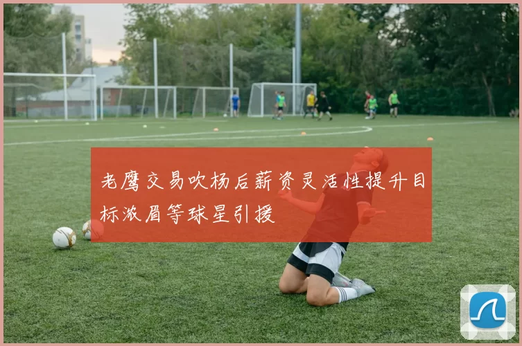 老鹰交易吹杨后薪资灵活性提升目标浓眉等球星引援